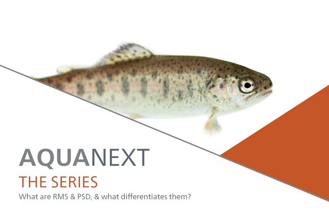 What Are Rms And Psd And What Differentiates Them