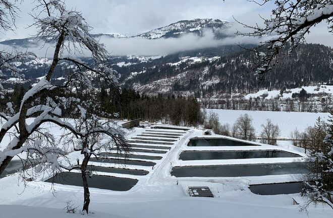 Austria picture farm snow2 jpeg