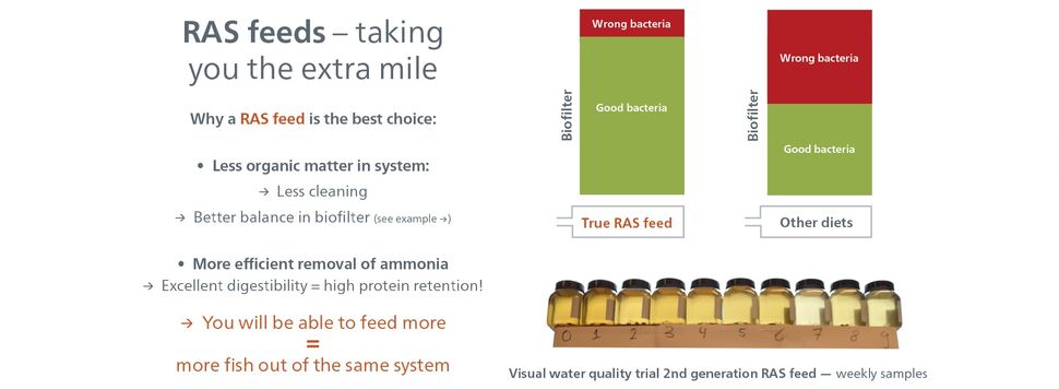 Ras Feeds Taking You The Extra Mile