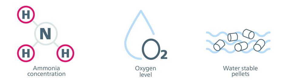 Water Quality Parameters 2