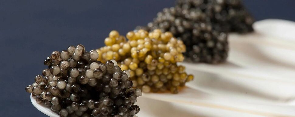 Aquatir Caviar Eggs