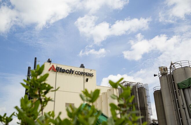Digital JPG Alltech Coppens Plant 118