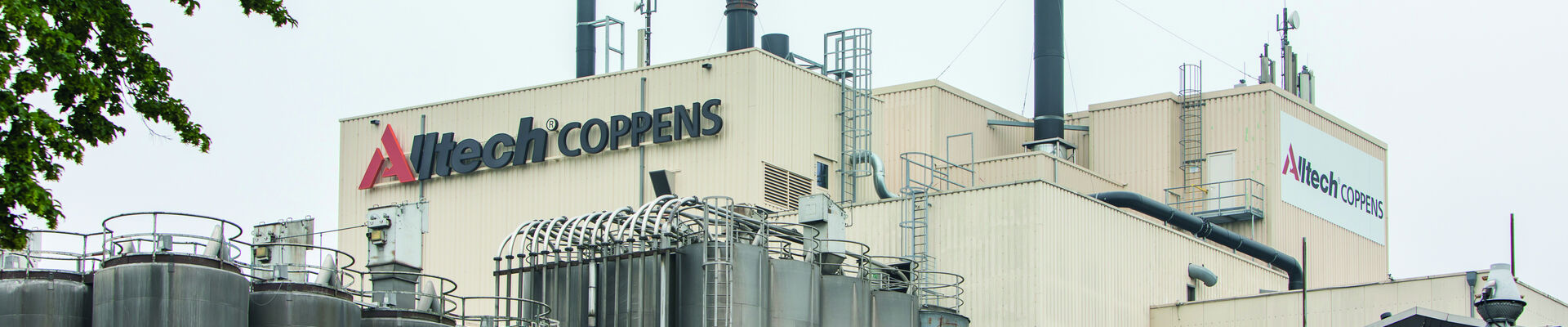 2018 06 10 Alltech Coppens 10