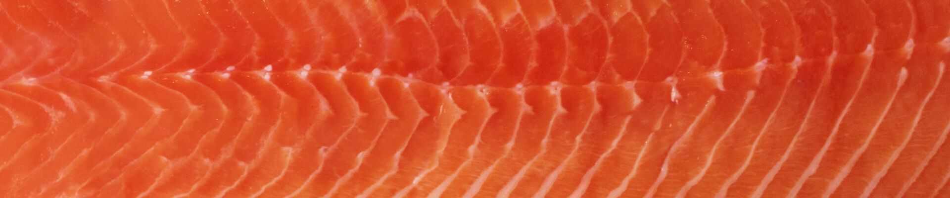 Fillet