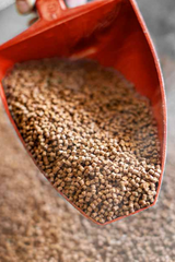 Preview Company Profile 2