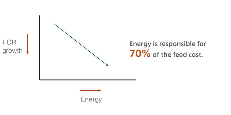 P Performance Graph