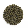 Spirulina492245 1