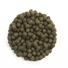 Spirulina fish feed