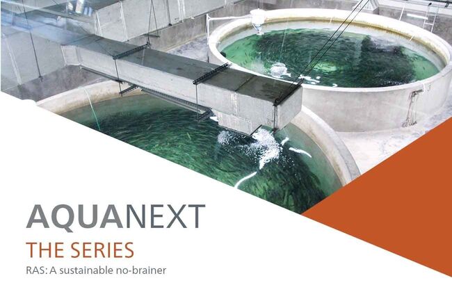 Cover Ras A Sustainable No Brainer