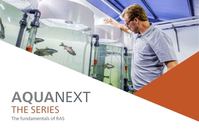 The fundamental of RAS farming