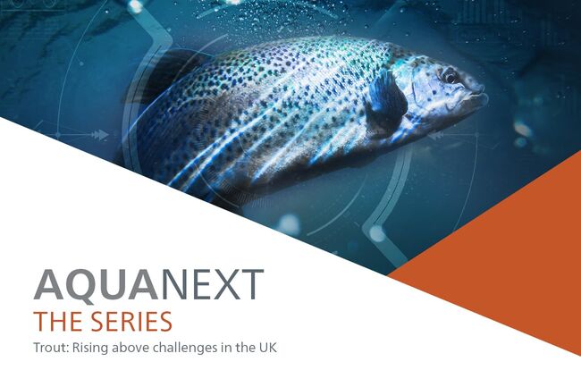 Cover Rising Above Challenges In The Uk