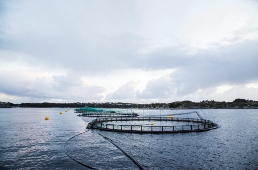 Sustainability-report-cover.JPG?mtime=20210607100947#asset:12012:blockImageSm Sustainability-report-cover.JPG?mtime=20210607100947#asset:12012:blockImageSm