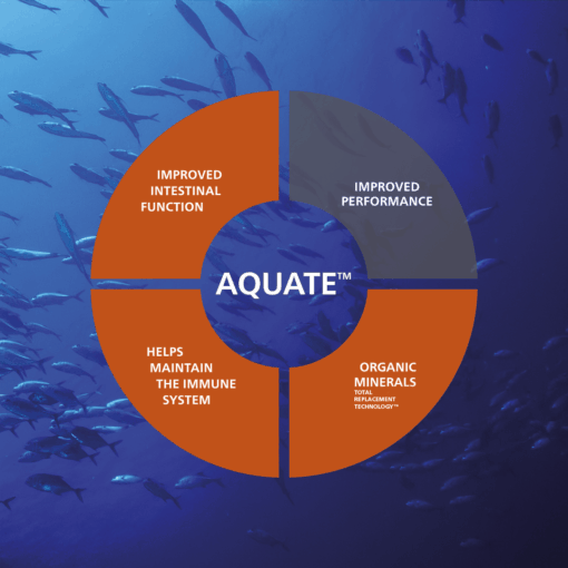 Aquate-insta-fb.png?mtime=20200108100410#asset:7789:blockImageSm