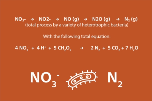 Denitrification-EN.jpg?mtime=20210423101748#asset:11781:blockImageSm