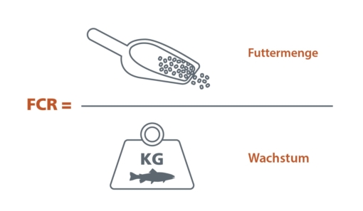 FCR-DE.jpg?mtime=20210411161356#asset:11695:blockImageSm