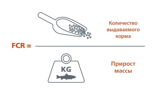 FCR-RU-2.jpg?mtime=20210416114932#asset:11751:blockImageSm FCR-RU-2.jpg?mtime=20210416114932#asset:11751:blockImageSm