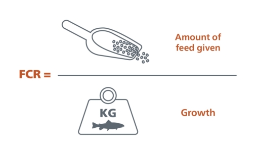 FCR.jpg?mtime=20210411151547#asset:11687:blockImageSm