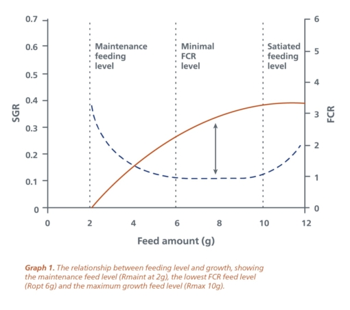 Feeding-level-and-growth-EN-2.jpg?mtime=20210411151327#asset:11686:blockImageSm Feeding-level-and-growth-EN-2.jpg?mtime=20210411151327#asset:11686:blockImageSm