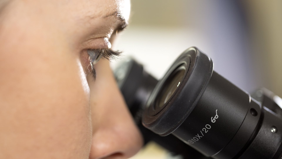 Dunboyne-Tissue-Lab-021.jpg?mtime=20190521141200#asset:6293:blockImageXl