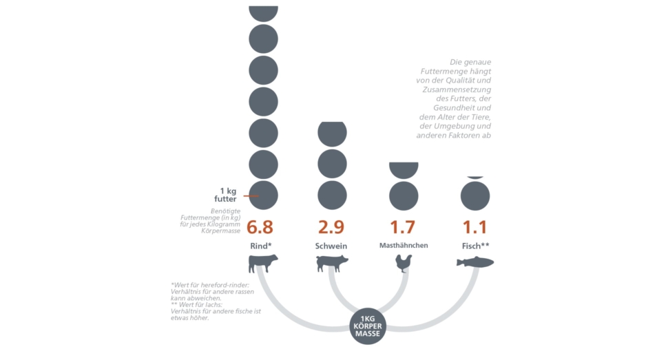 RAS-A-SUSTAINABLE-NO-BRAINER-GRAFIEK-DE.jpg?mtime=20200708115443#asset:9842:blockImageXl