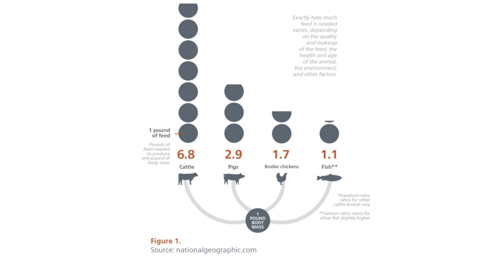 RAS-A-SUSTAINABLE-NO-BRAINER-GRAFIEK.jpg?mtime=20200706115731#asset:9823:blockImageXl