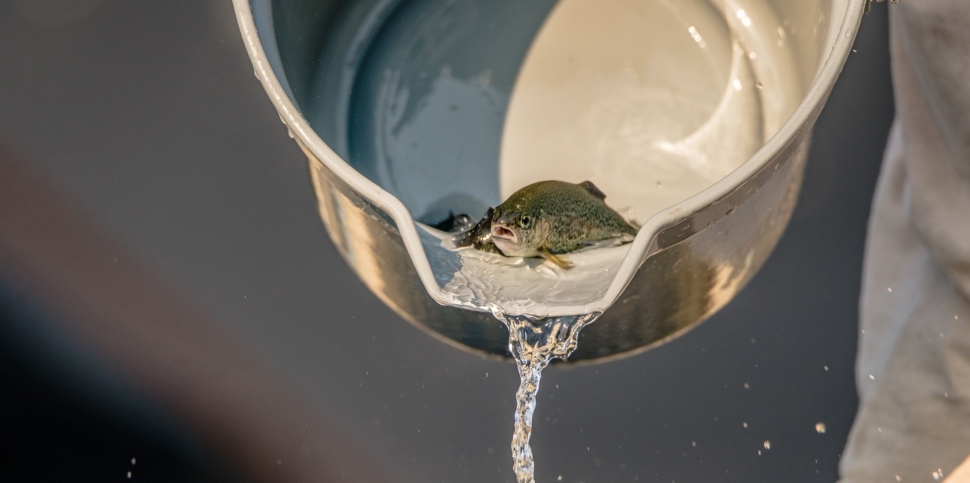 shutterstock_729275182-copy.jpg?mtime=20200107161447#asset:7787:blockImageXl