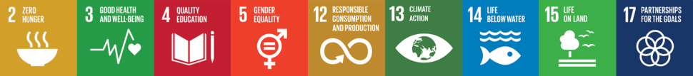 SDG-in-a-row.png?mtime=20210419141452#asset:11763:blockImageXl