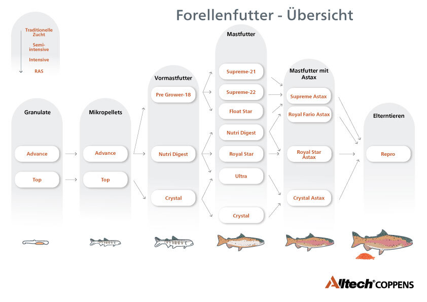 Übersicht Forellenfutter