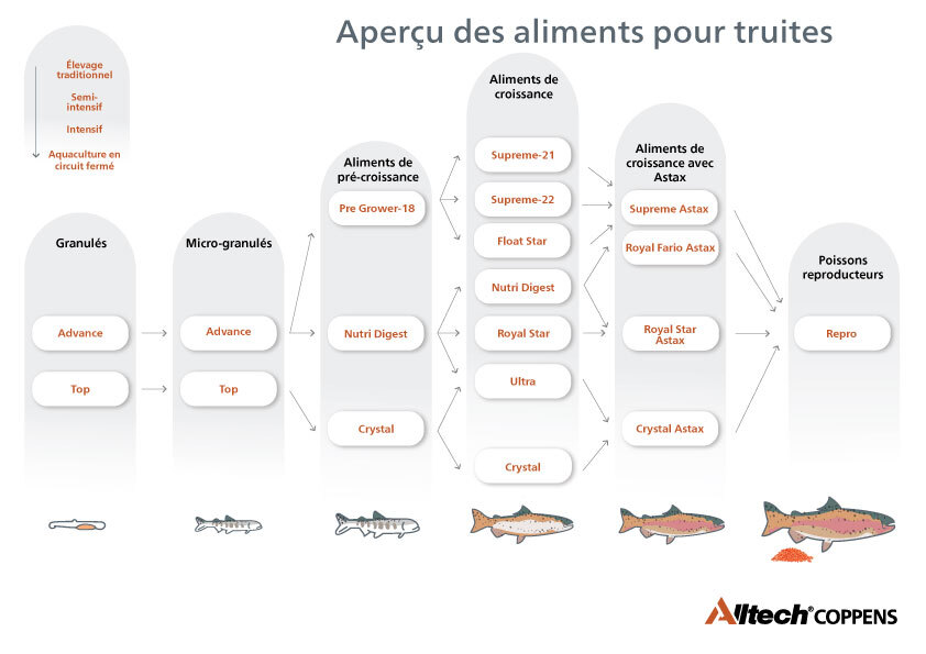 Aperçu des aliments pour truites