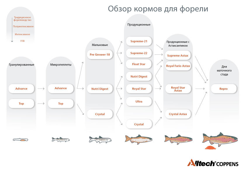 Trout overview RU version