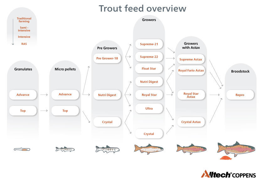 Trout feed overview