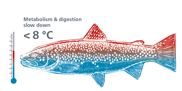 Metabolism & Digestion winter feed