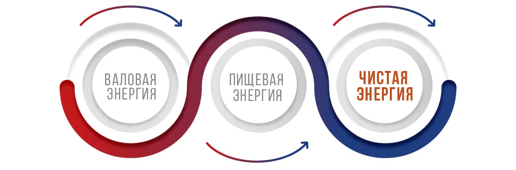 NET-Infographic-2-RU.jpg?mtime=20190430140752#asset:6018