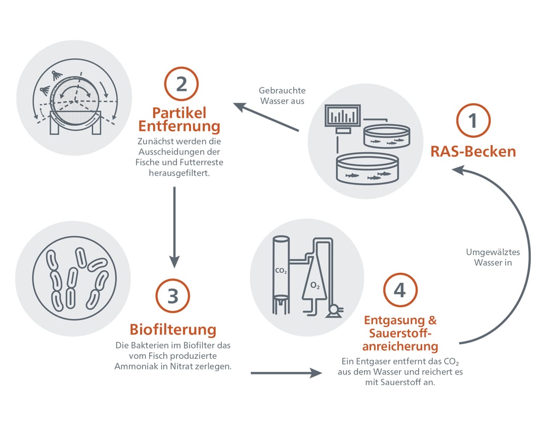 THE-FUNDAMENTALS-OF-RAS-PROCESS-FLOW-DE.jpg?mtime=20200821165259#asset:9891
