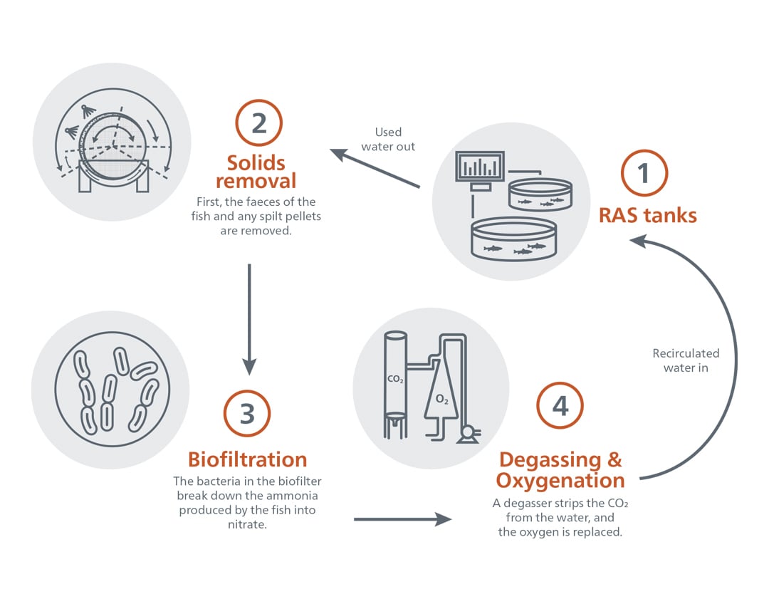 THE-FUNDAMENTALS-OF-RAS-PROCESS-FLOW.jpg?mtime=20200821163145#asset:9884