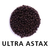 ULTRA-ASTAX_190430_120701.jpg?mtime=20190430120701#asset:6015