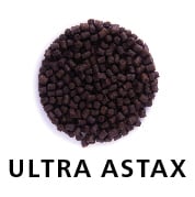 ULTRA-ASTAX_190430_120701.jpg?mtime=20190430120701#asset:6015 ULTRA-ASTAX_190430_120701.jpg?mtime=20190430120701#asset:6015