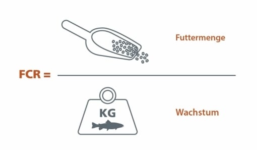 FCR-DE.jpg?mtime=20210411161356#asset:11695:blockImageSm FCR-DE.jpg?mtime=20210411161356#asset:11695:blockImageSm