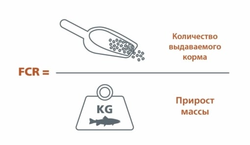 FCR-RU-2.jpg?mtime=20210416114932#asset:11751:blockImageSm FCR-RU-2.jpg?mtime=20210416114932#asset:11751:blockImageSm