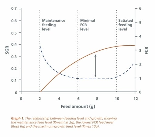 Feeding-level-and-growth-EN-2.jpg?mtime=20210411151327#asset:11686:blockImageSm