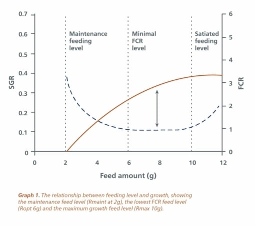 Feeding-level-and-growth-EN-2.jpg?mtime=20210411151327#asset:11686:blockImageSm Feeding-level-and-growth-EN-2.jpg?mtime=20210411151327#asset:11686:blockImageSm