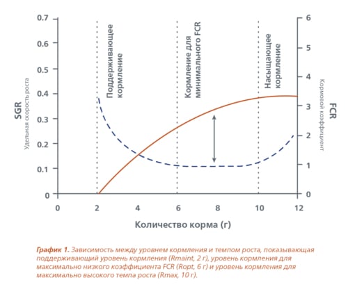Feeding-level-and-growth-RU-2.jpg?mtime=20210413121822#asset:11723:blockImageSm