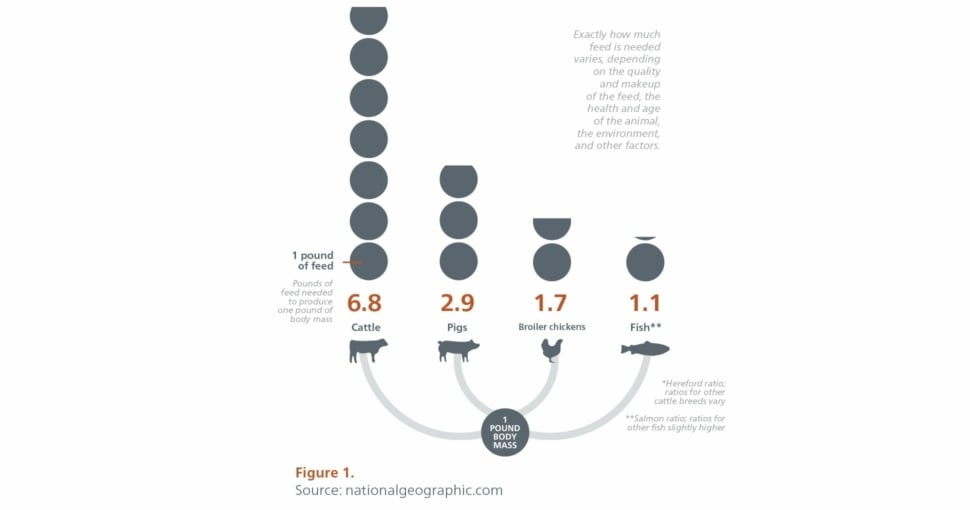 RAS-A-SUSTAINABLE-NO-BRAINER-GRAFIEK.jpg?mtime=20200706115731#asset:9823:blockImageXl