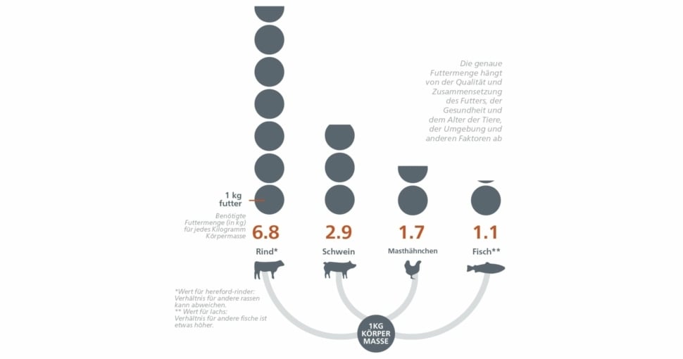 RAS-A-SUSTAINABLE-NO-BRAINER-GRAFIEK-DE.jpg?mtime=20200708115443#asset:9842:blockImageXl