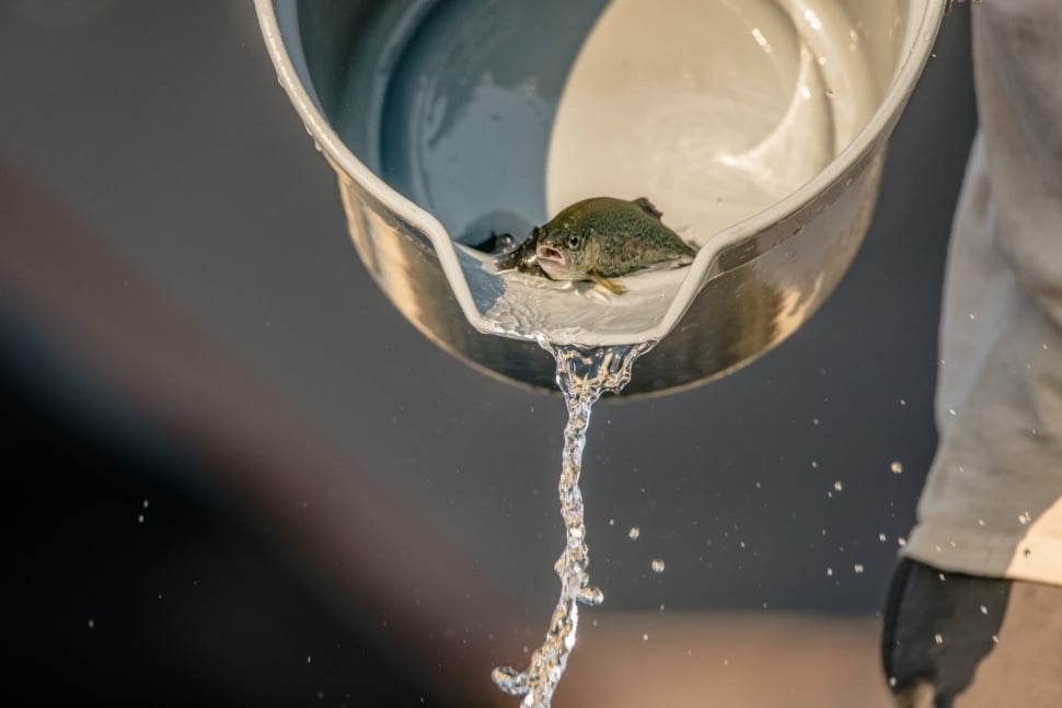 shutterstock_729275182.jpg?mtime=20191220142128#asset:7744:blockImageXl