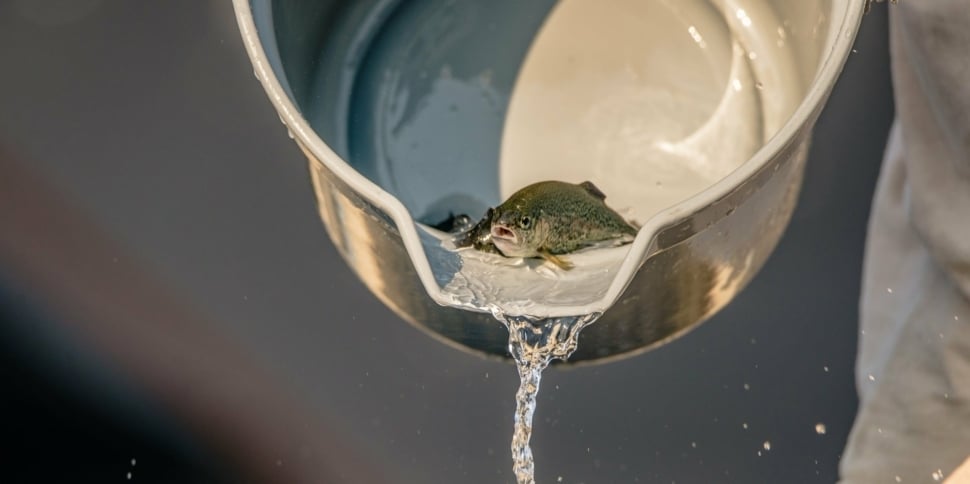 shutterstock_729275182-copy.jpg?mtime=20200107161447#asset:7787:blockImageXl