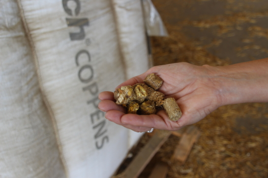 Catfish Pellets